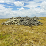 best place to buy land in kenya