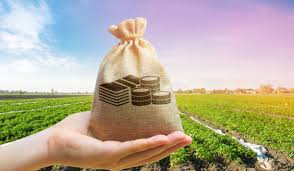 How land can help you secure loan