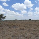 KITENGELA PLOTS FOR SALE
