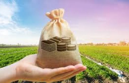 How land can help you secure loan
